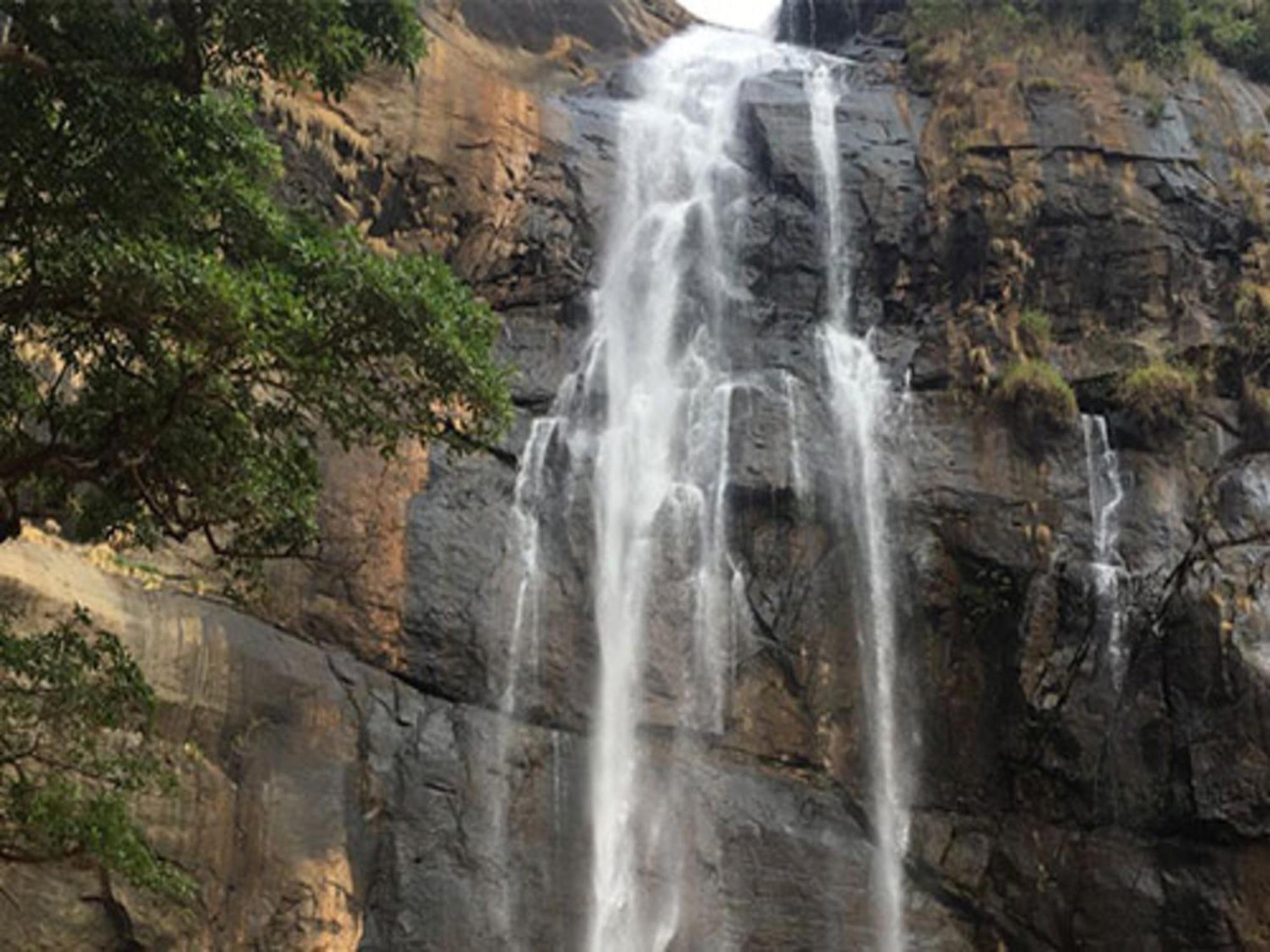Coastal Grand Mahendravanam - Kolli Hills Exteriér fotografie